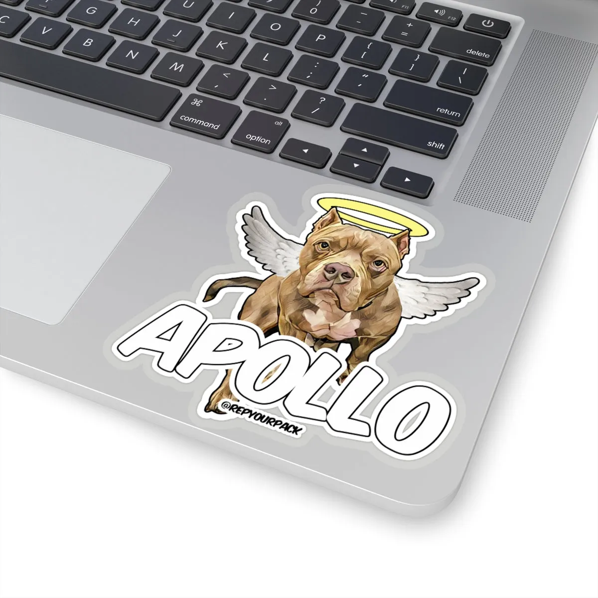 Apollo Angel Wings 1 Stickers