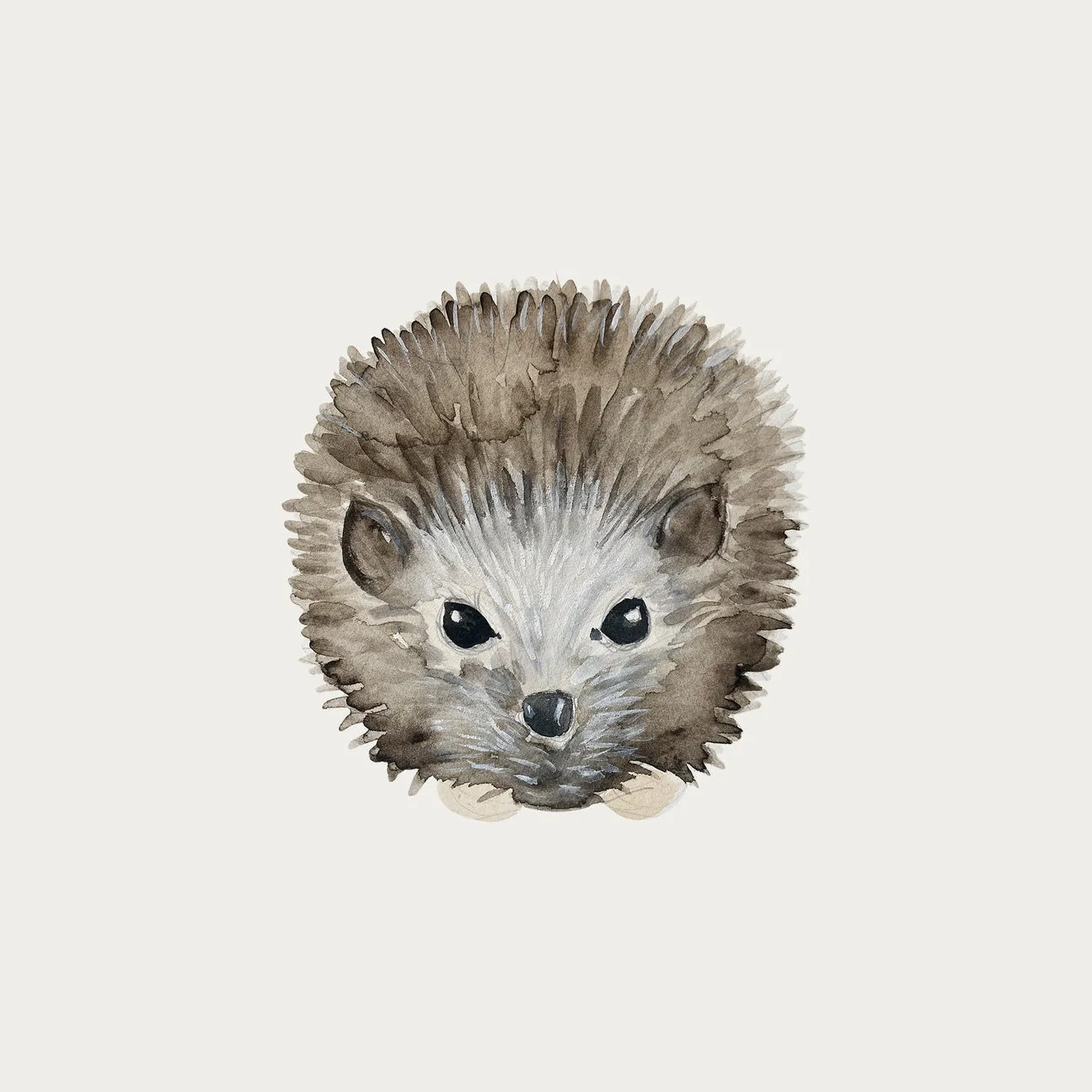 Atlas & August Hedgehog 2 Reusable Wall Sticker