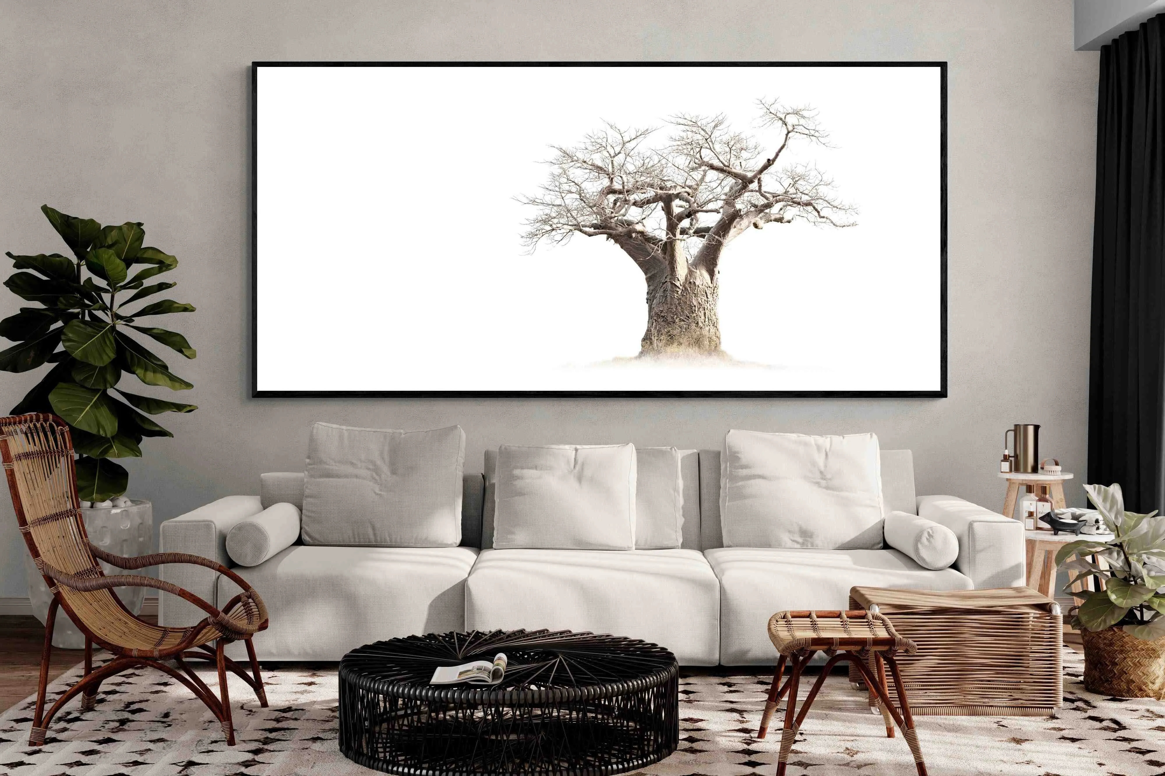 Baobab Whiteout