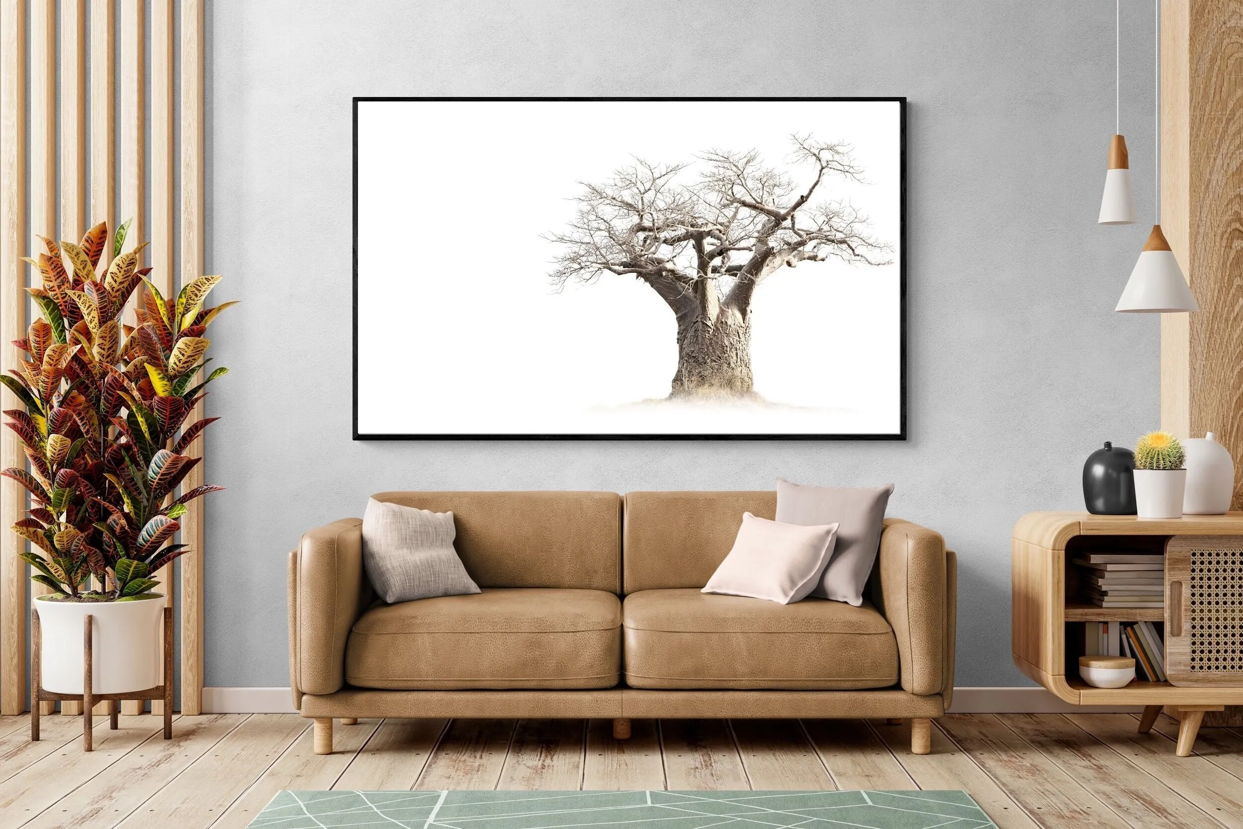 Baobab Whiteout