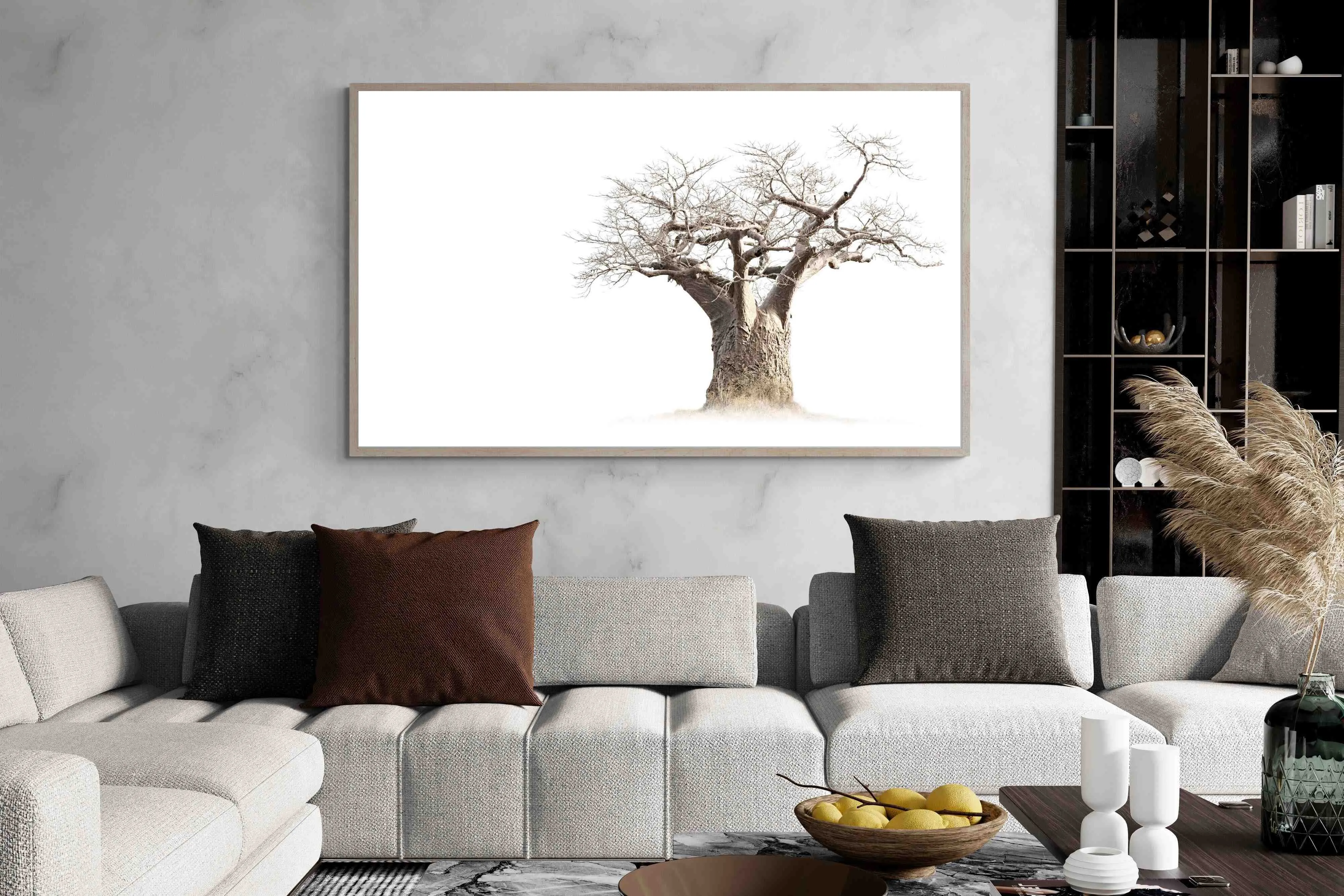 Baobab Whiteout