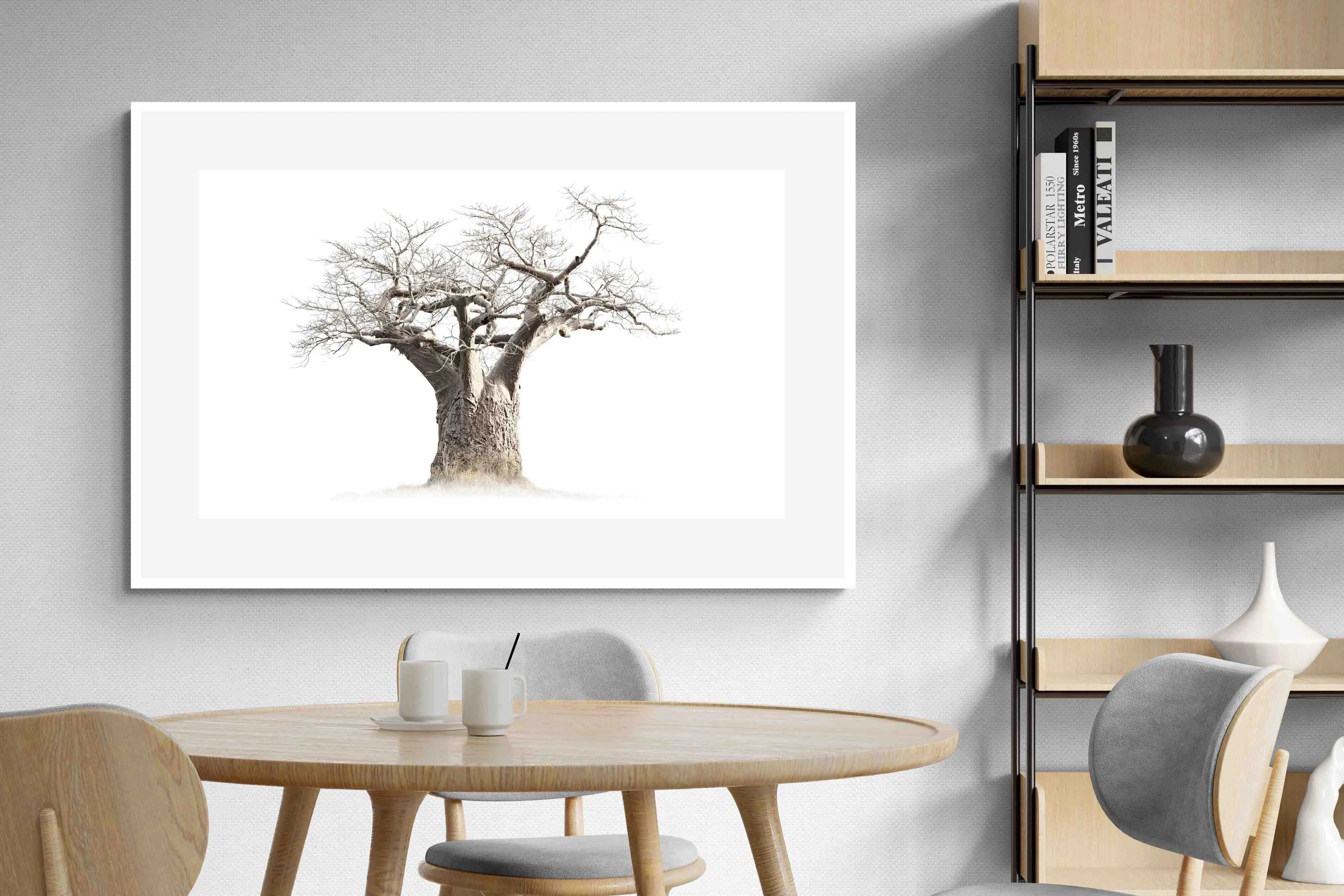 Baobab Whiteout