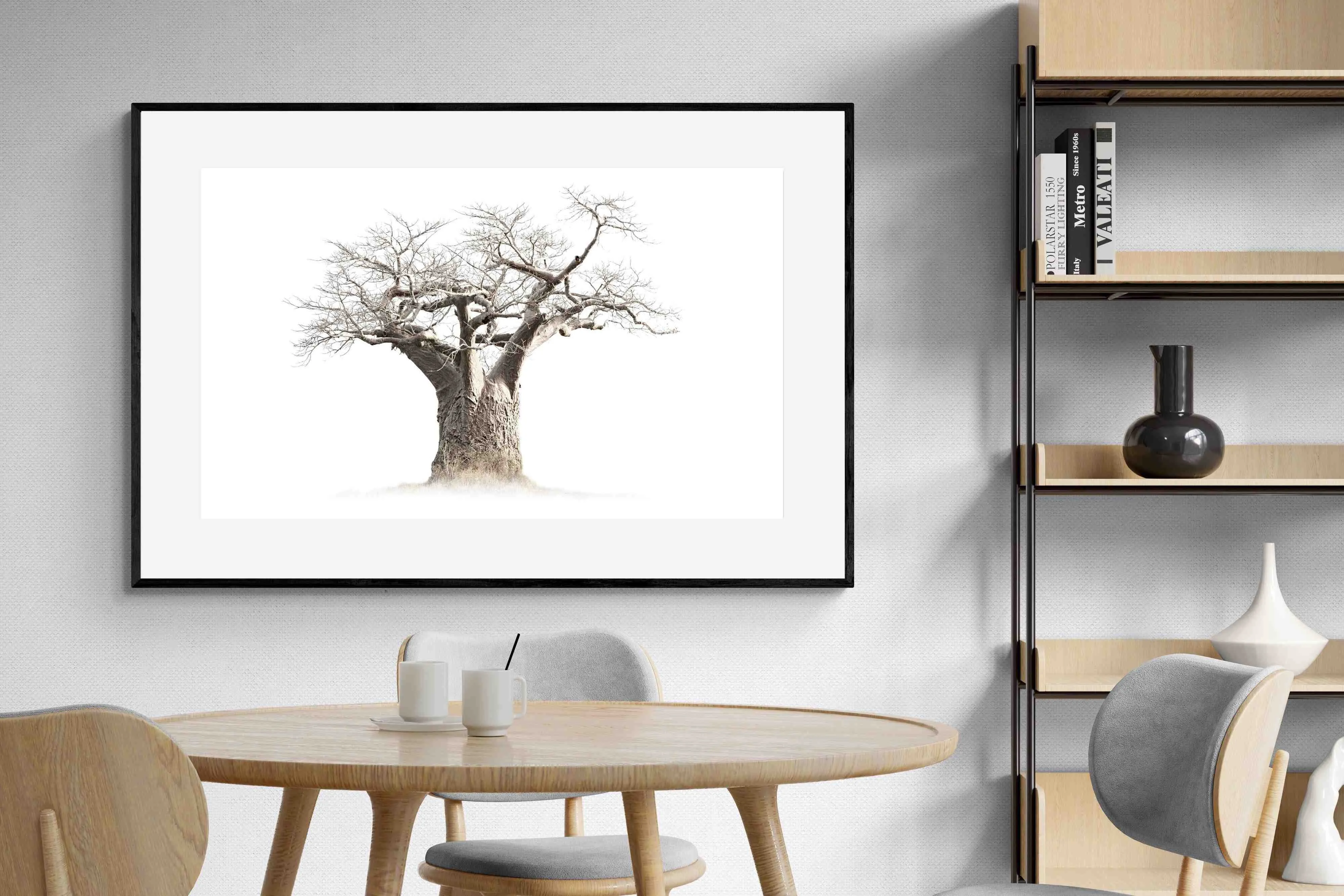 Baobab Whiteout