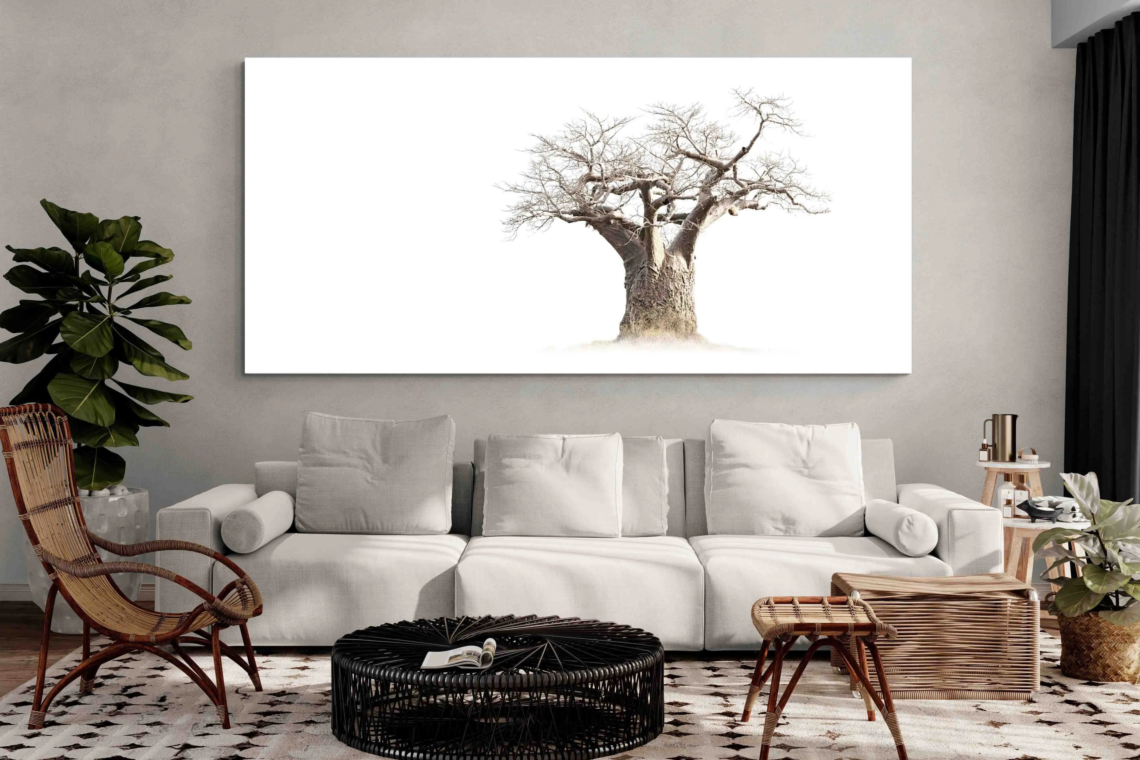 Baobab Whiteout