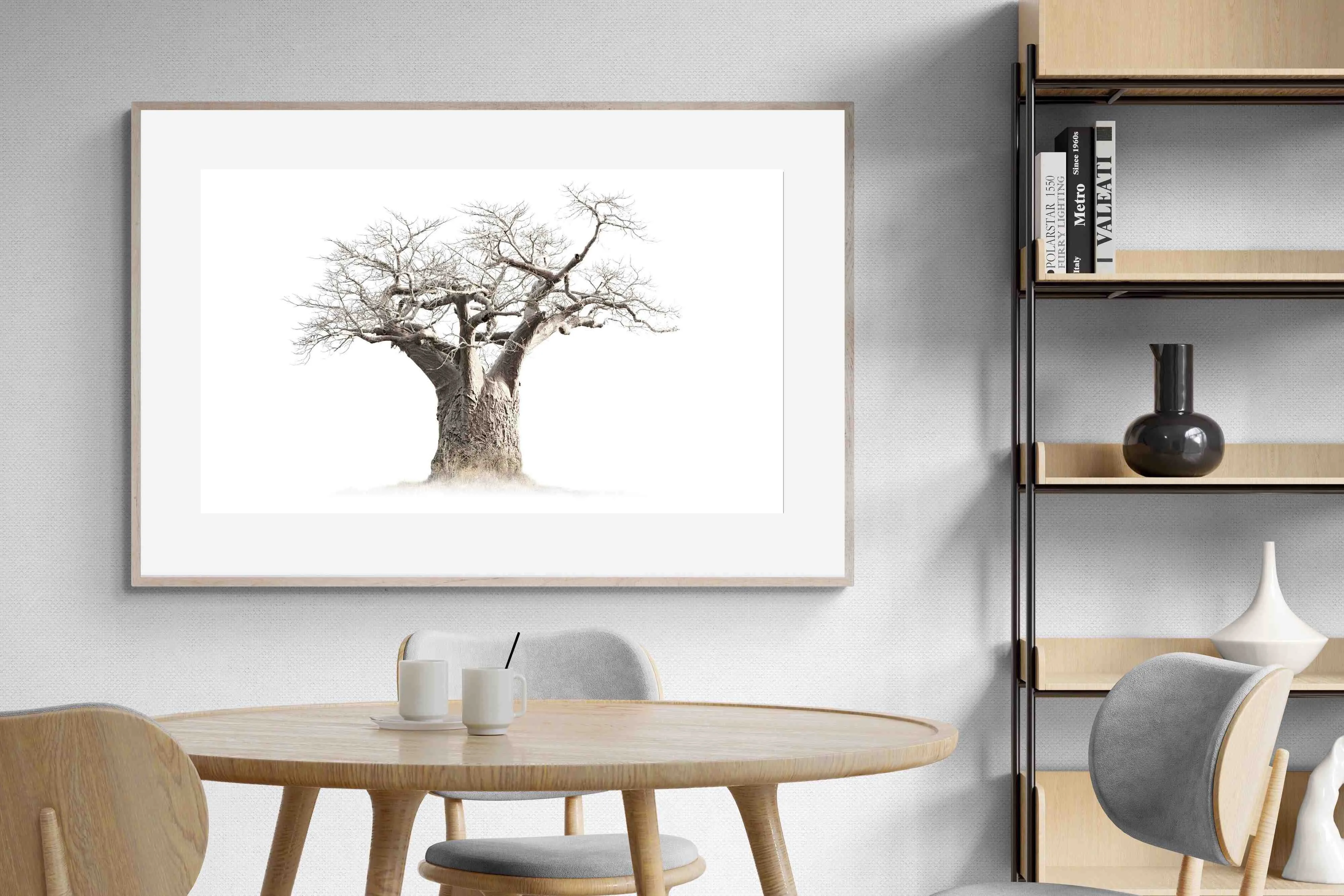 Baobab Whiteout