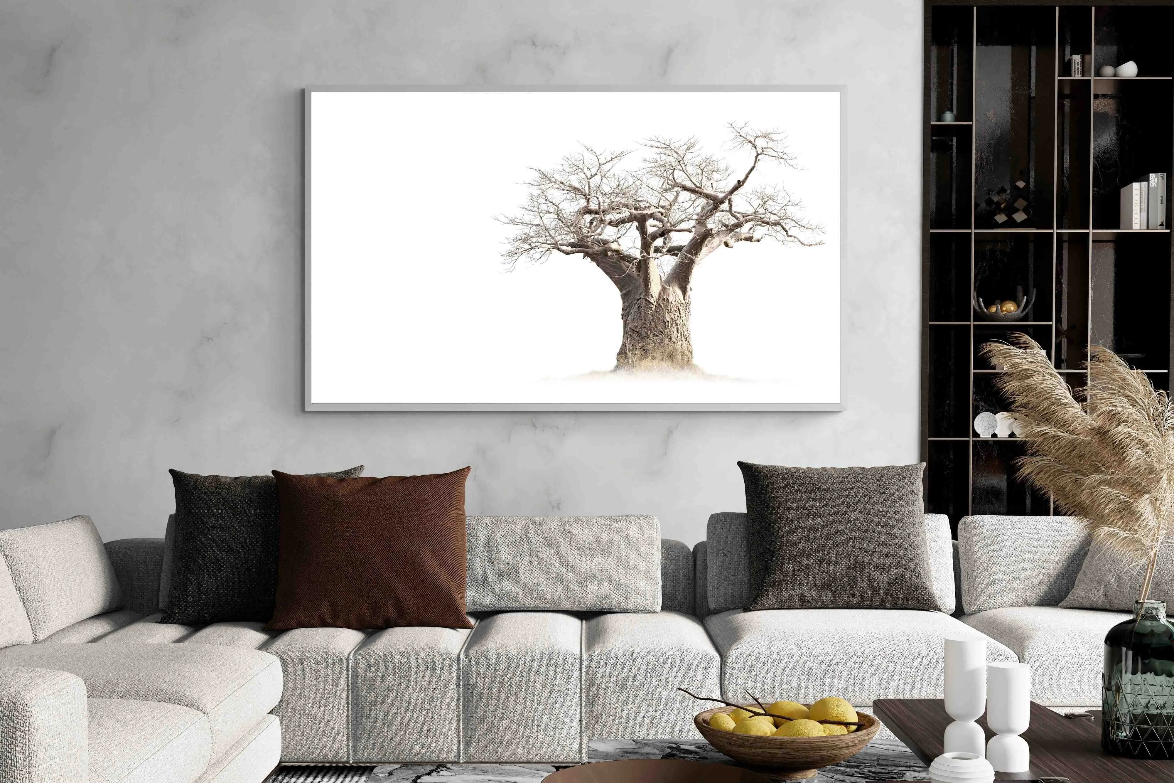 Baobab Whiteout