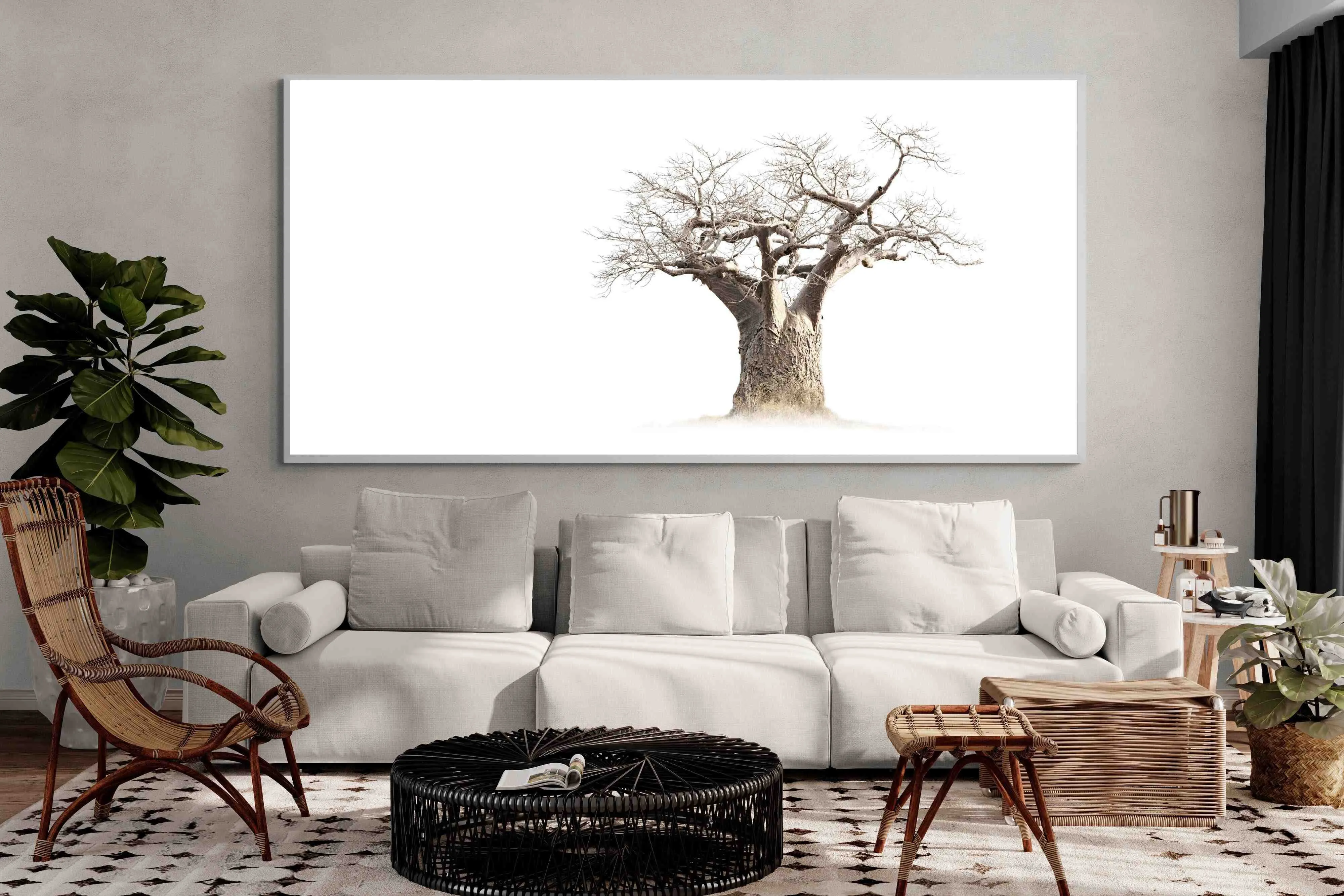 Baobab Whiteout