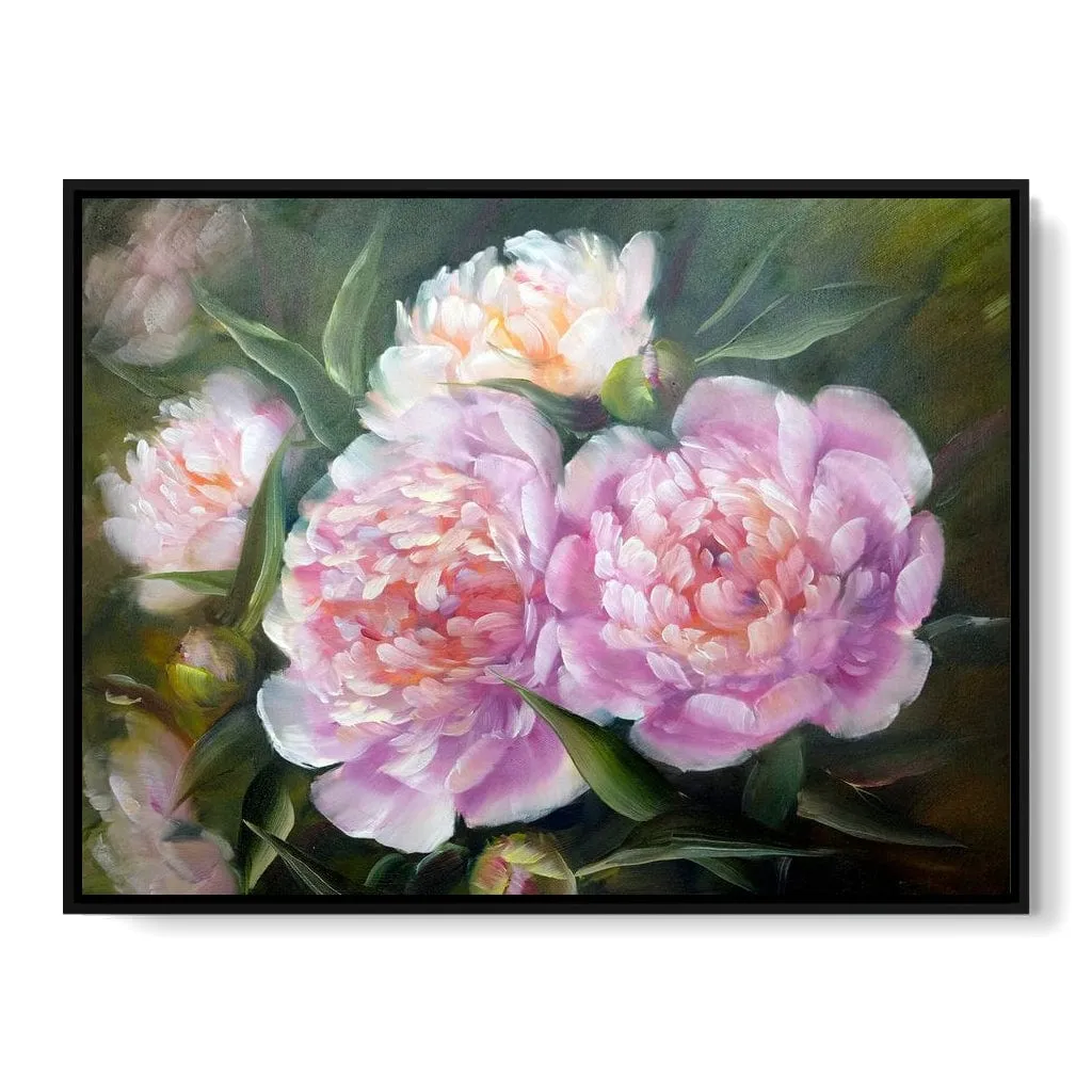 Blooming Peonies