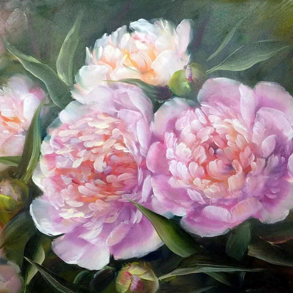 Blooming Peonies