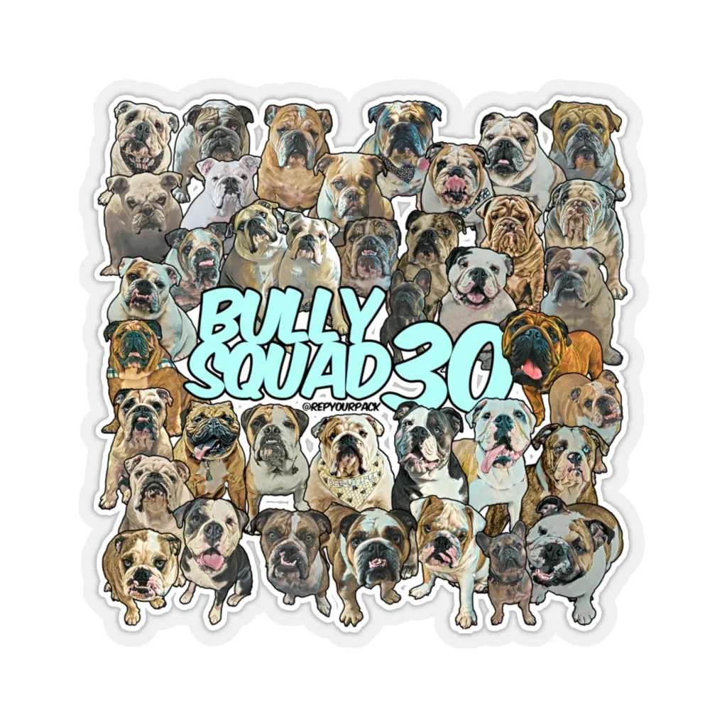 Bully Squad 30 Turquoise Sticker