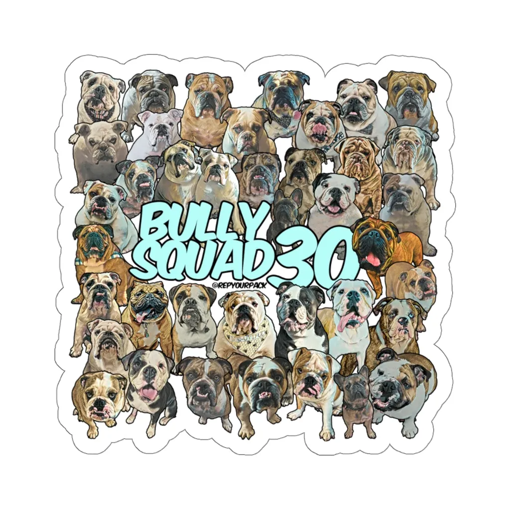 Bully Squad 30 Turquoise Sticker