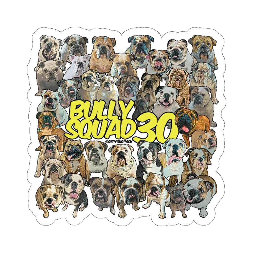 Bully Squad 30 YELLOW Sticker