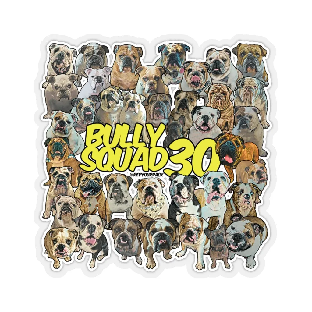 Bully Squad 30 YELLOW Sticker