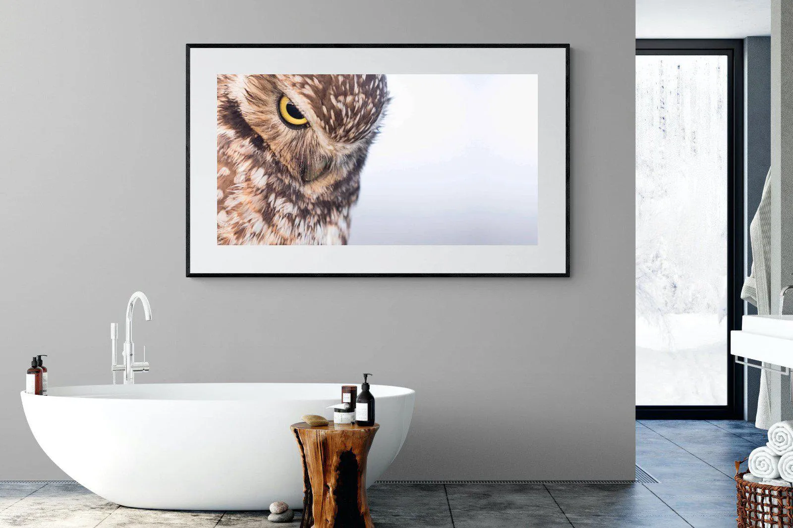 Burrowing Owl