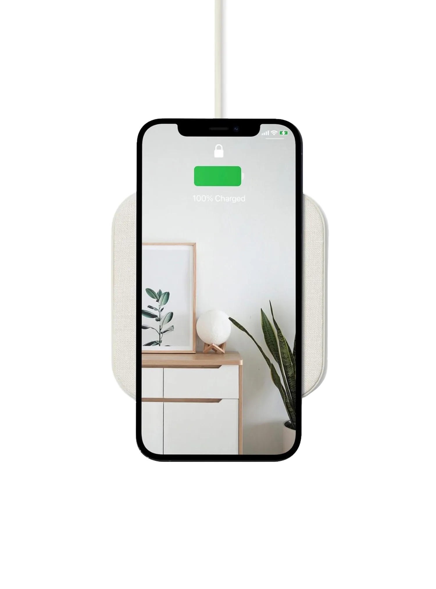 Courant CATCH:1 Wireless Charger (Natural)