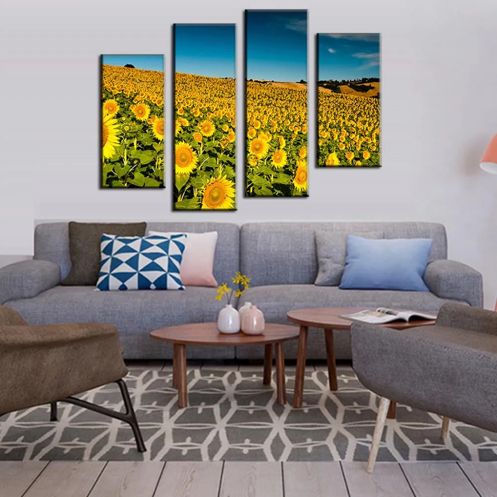 Field of Sunflowers