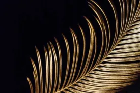 Gold Frond