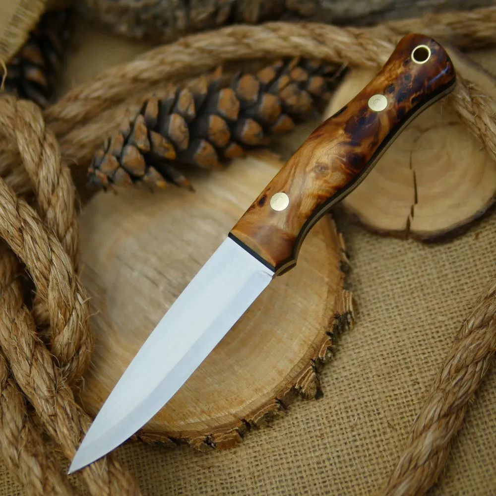 Mountaineer: Poplar Burl & Black Canvas