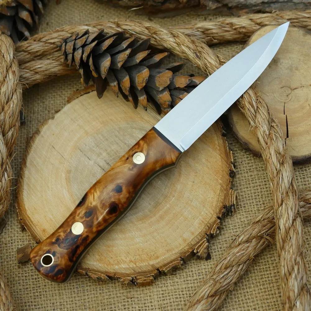 Mountaineer: Poplar Burl & Black Canvas