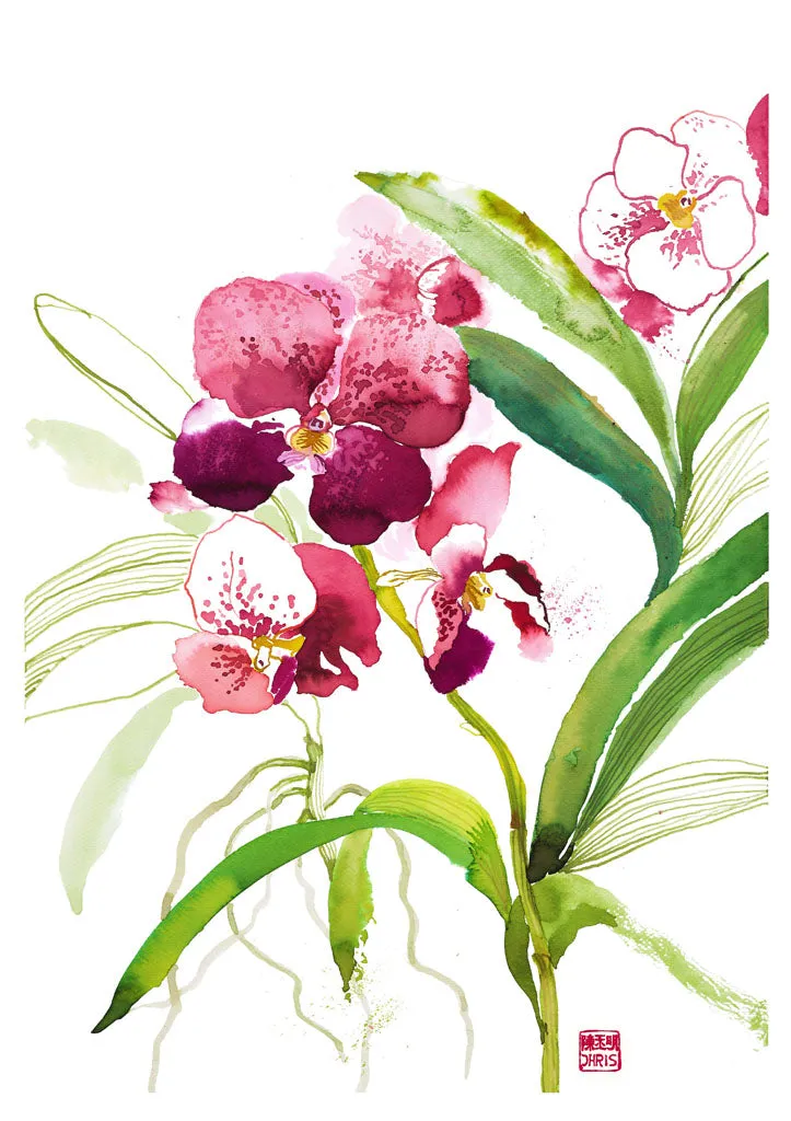 Orchidaceae