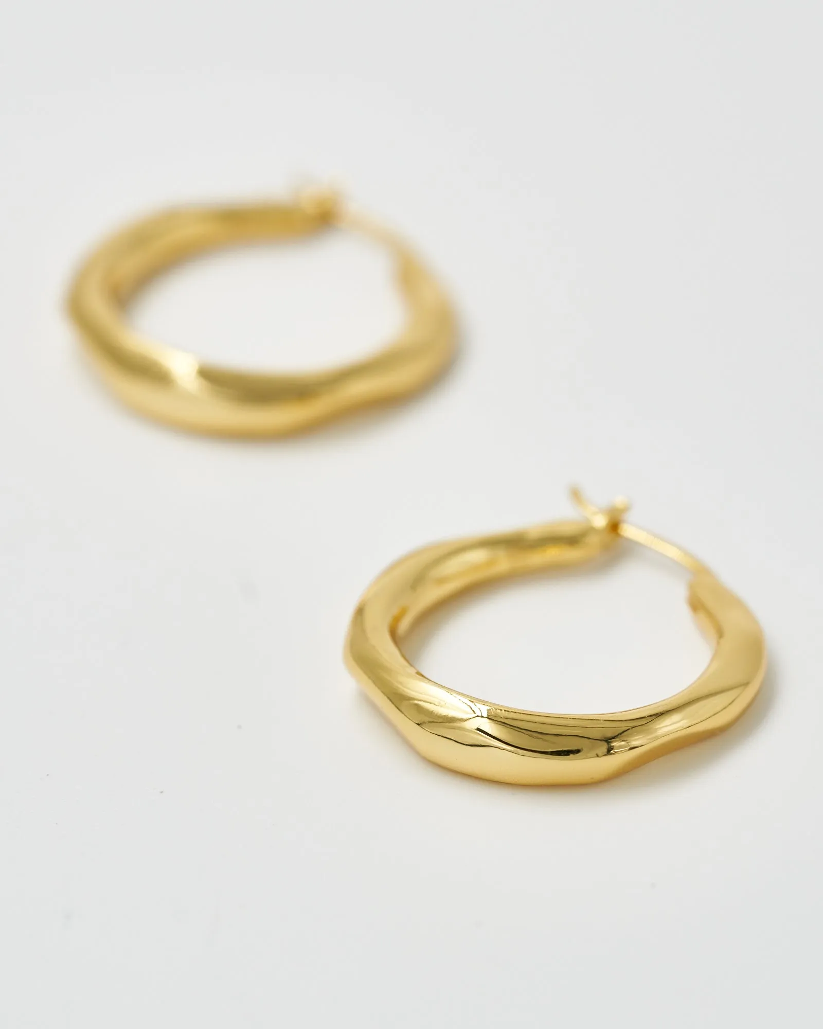 Organica Hoop Earrings Small (RRP $149AUD)