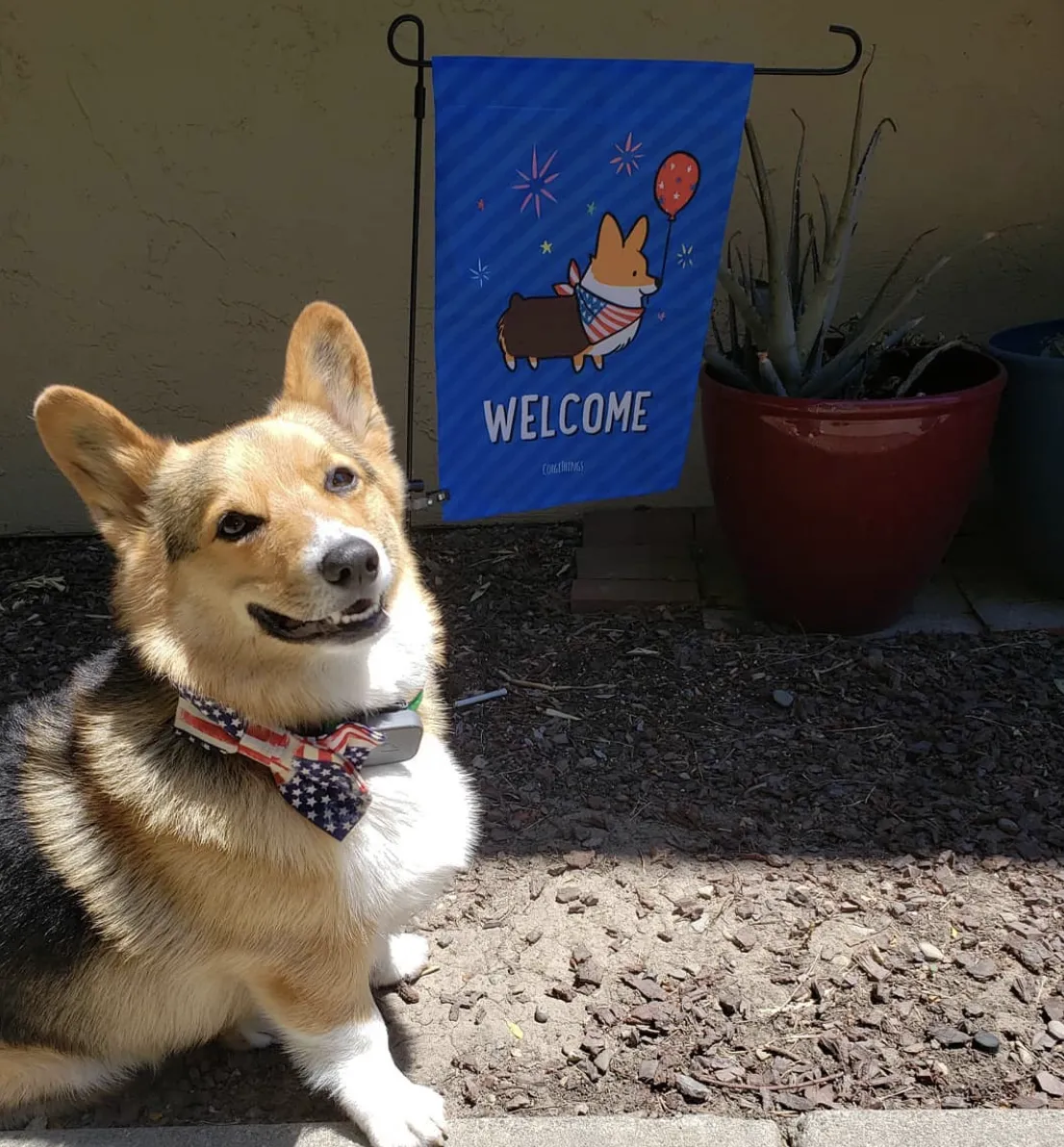 "Corgmerica" Corgi Garden Flag